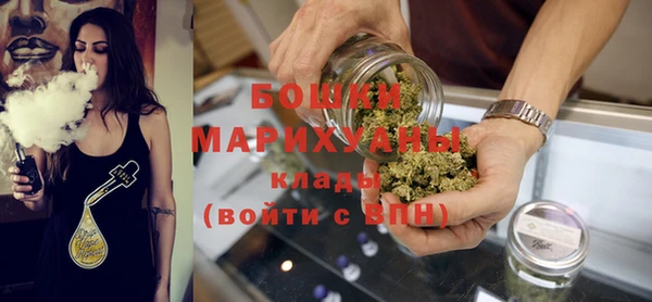 индика Болохово
