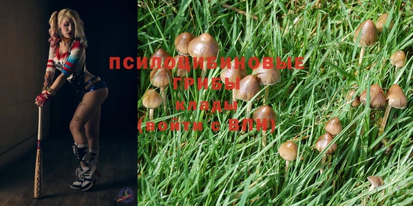 марки nbome Алзамай