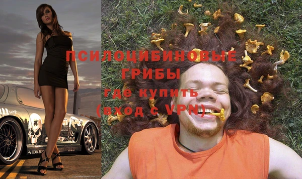 шишки Алексеевка