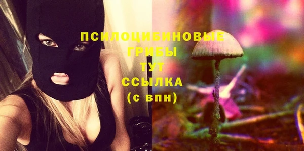 шишки Алексеевка