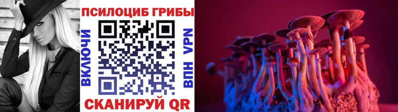 Галлюциногенные грибы Cubensis  Дегтярск 